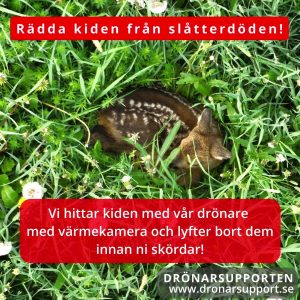 Rädda rådjurskiden från slåtterdöden